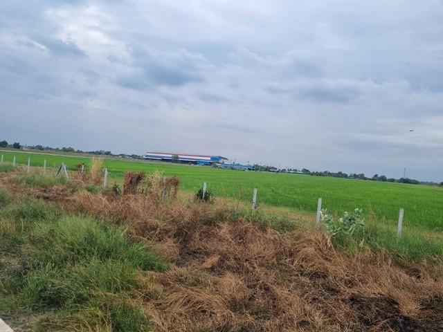 ขายที่ดินถมแล้ว เนื้อที่ 40 ไร่ เขต EEC สีม่วงจุดสีขาว ติดถนนสาธารณะ อ.เมืองฉะเชิงเทรา รถใหญ่เข้าสะดวก 2