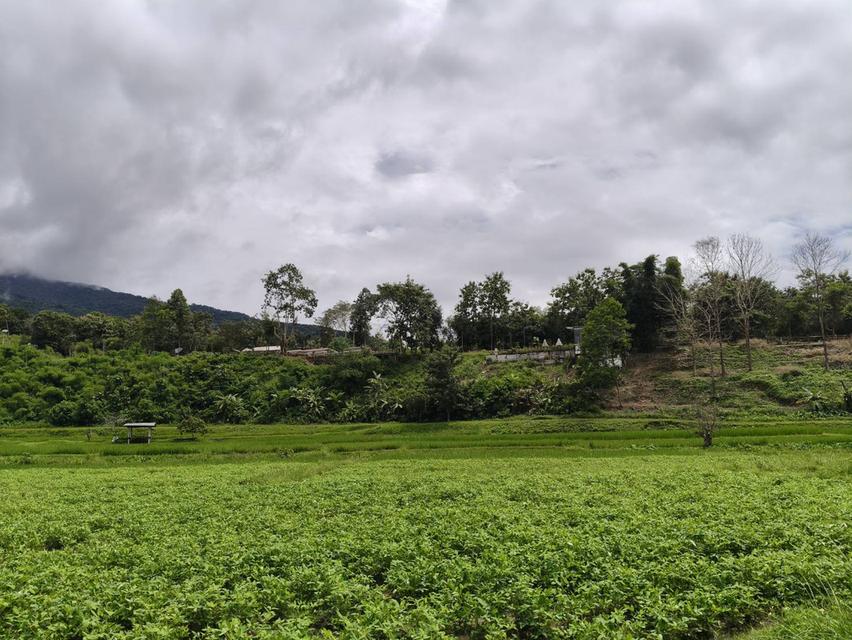 ที่ดิน ทำเลติดภูเขา จ.น่าน 12