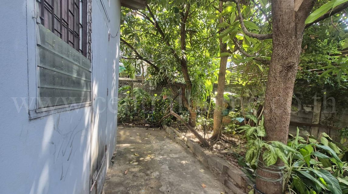 บ้านเดี่ยว 62 ตารางวา ซอย ลาดพร้าว 80 จันทิมา ราคาถูกที่สุด 12