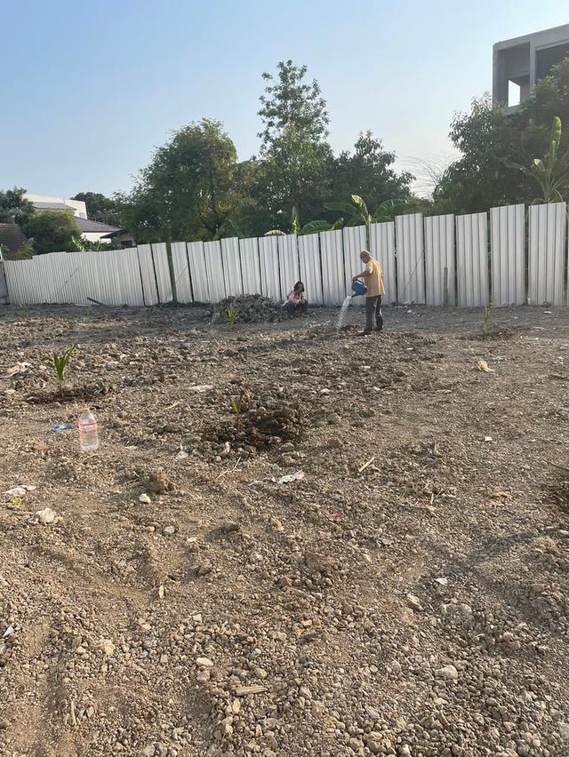 ที่ดินสุขุมวิท 101/1 ซอยวชิรธรรมสาธิต 53 1