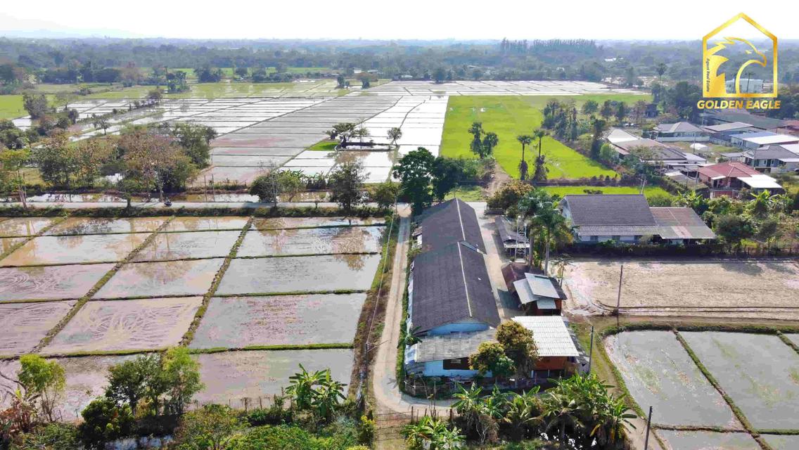  ที่นา 3-3-22.1 ไร่ (ถนนสาธารณะไฟฟ้าและประปา ห่างเทศบาล 1 กิโล) 8