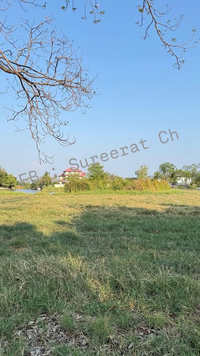 ที่ดิน Green Valley (บางนา-ตราด กม.15) แบบบ้านราคา 2.5 ล้าน ได้รับอนุมัติแล้ว 1