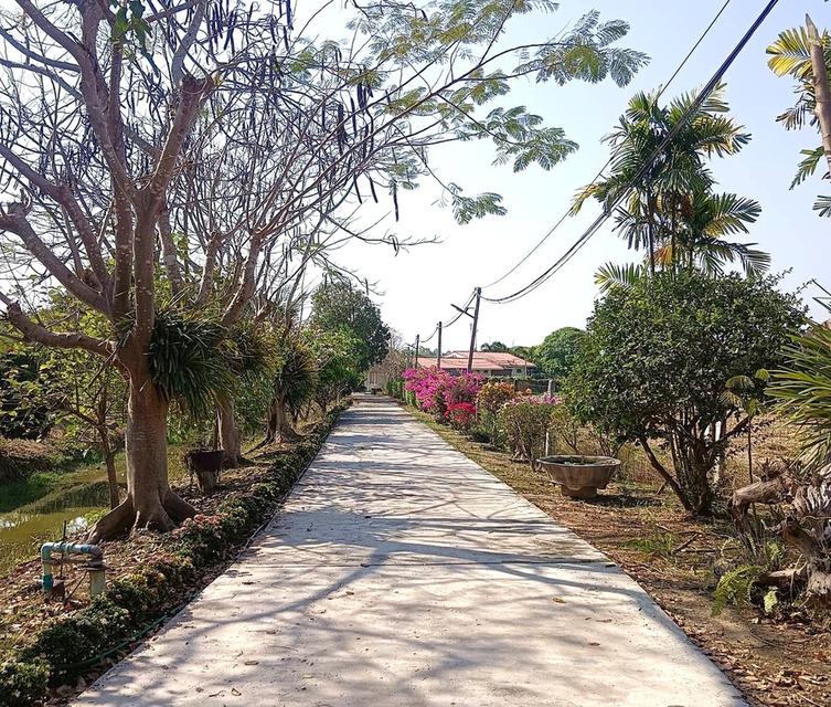 ขายที่ดินพร้อมบ้าน เนื้อที่ 19-3-66 ไร่ ต.ทุ่งหลวง อ.ปากท่อ ราชบุรี 9