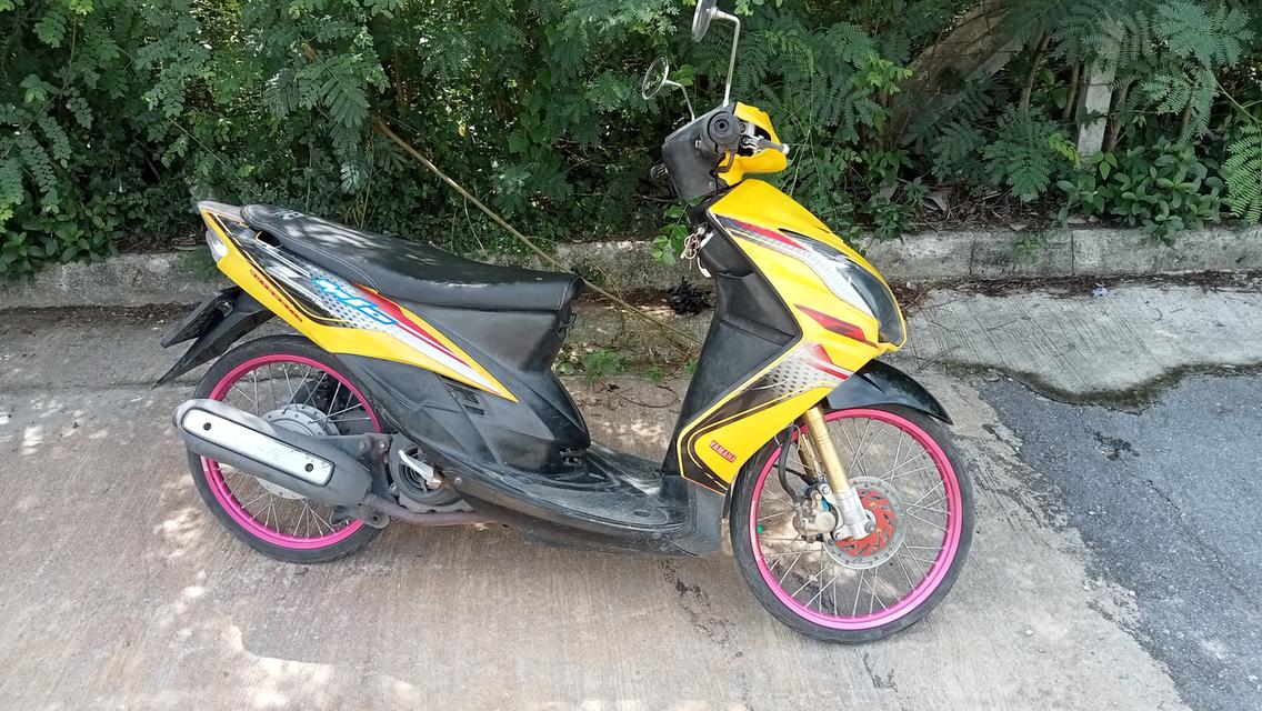 มีโอ 2 ตา สีเหลืองแนวดุดัน