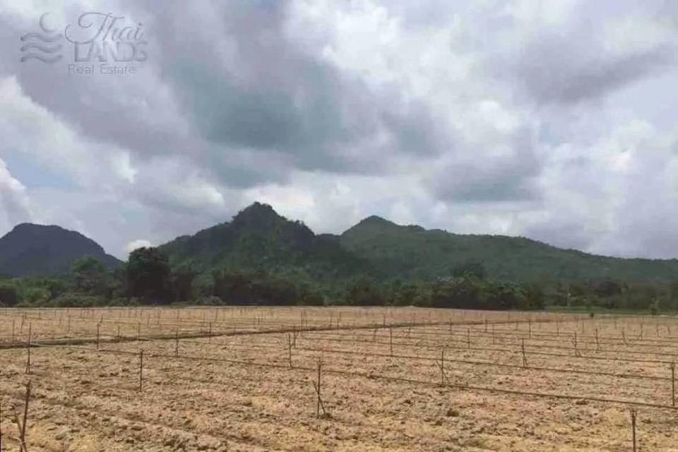 ขายที่ดิน ริมน้ำในเมืองโอกาสแบบนี้ไม่ได้มีบ่อย — แปลงใหญ่ วิวภูเขา ติดแม่น้ำแควน้อย 5