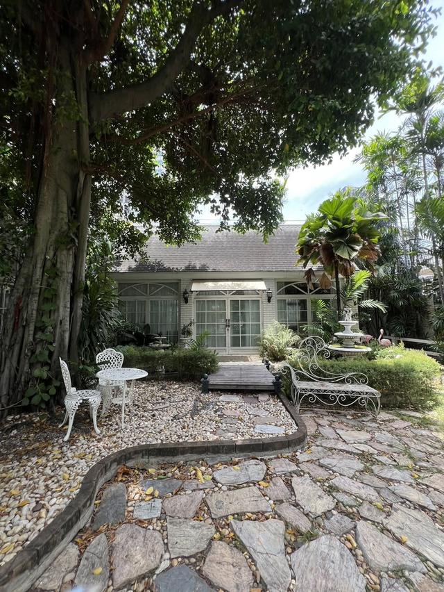 U1477 ให้เช่าบ้านสวน ใจกลางสุขุมวิท 101 FOR RENT RARE GARDEN SPACE IN SUKHUMVIT An Extraordinary Glasshouse Garden Space in Sukhumvit 101 13