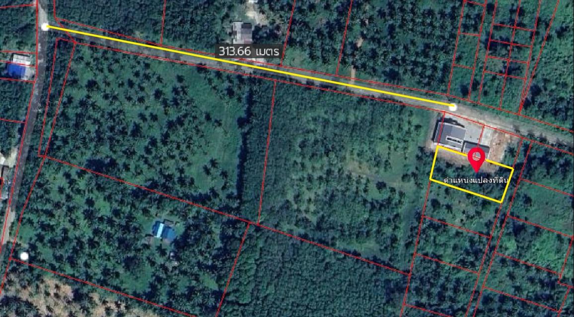 ที่ดินเปล่าประจวบคีรีขันธ์ ตำบลบางสะพาน อำเภอบางสะพานน้อย ที่ดินเงียบสงบ เนื้อที่ 1 ไร่ 6