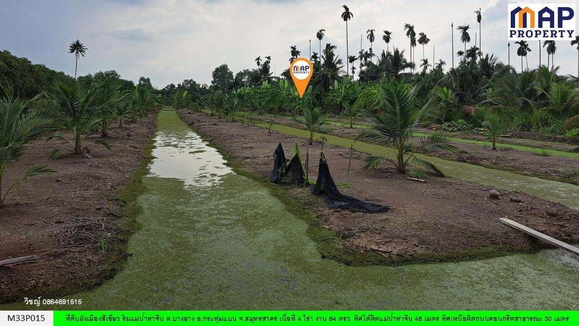 ที่ดินริมแม่น้ำท่าจีน ใกล้วัดอ่างทอง ต.บางยาง อ.กระทุ่มแบน จ.สมุทรสาคร 11