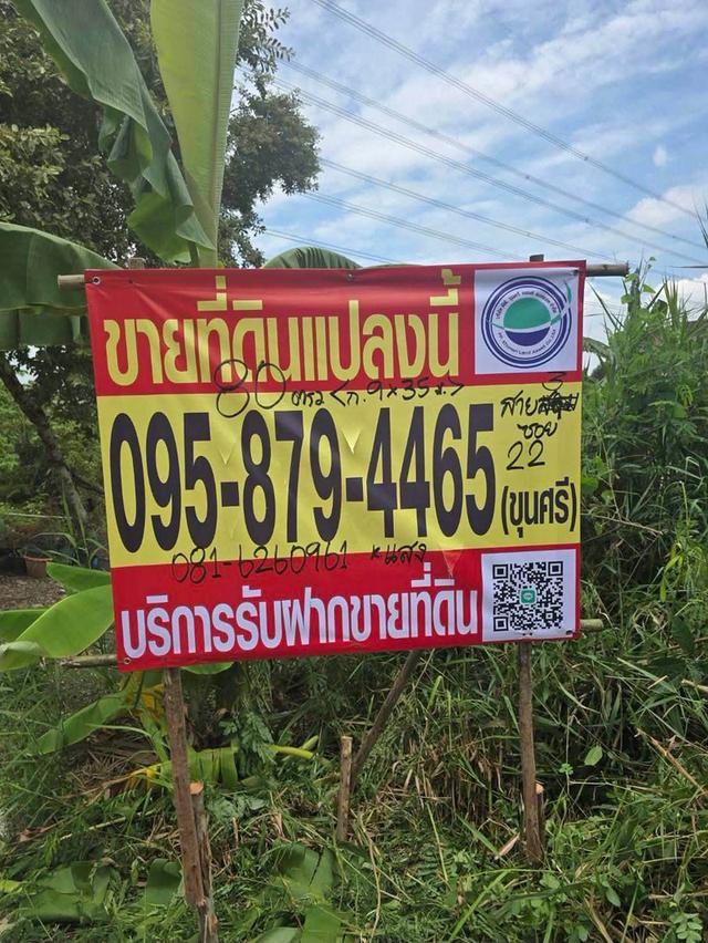 ขายถูกที่ดินตลิ่งชัน 80 ตรว ติดถนนคอนกรีตสาธารณะ ถมแล้ว พุทธมณฑลสาย 3 ซอย 22 บางระมาด กรุงเทพฯ 1