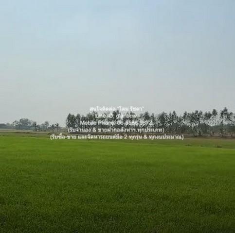 ที่ดิน ขายที่ดินทุ่งนาข้าว ต.ระวิง อ.เมืองเพชรบูรณ์ จ.เพชรบูรณ์ 51-2-87 ไร่ 7800000 บาท. 51 ไร่ 2 NGAN 87 Square Wah ราค 6