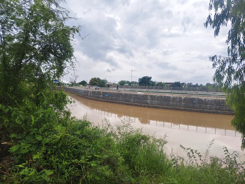 ที่ดินที่นาติดคลองมีน้ำตลอดปี 1