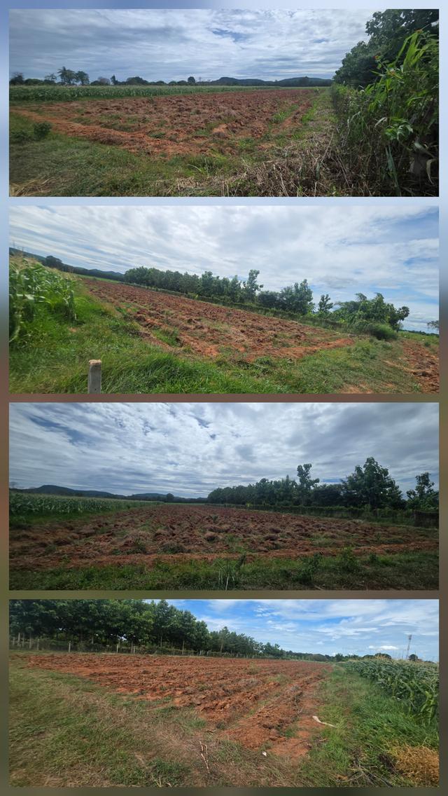 ที่ดินพร้อมใช้ 2 ไร่ อยู่เองก็ได้ ทำที่พักก็ดี ต.หนองกวาง อ.โพธาราม.จ.ราชบุรี 10