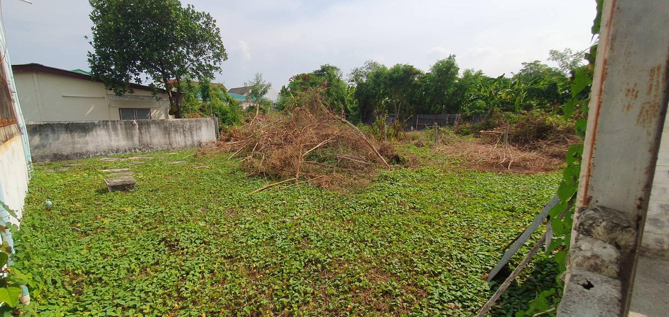 ที่ดินตรงลาดพร้าว ซอย 80 แยก 12 8