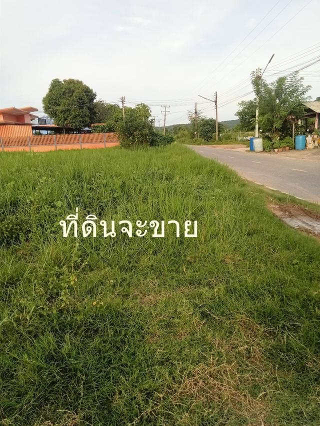 ขายที่ดิน 189 ตรว ต.ตาลเดี่ยว อ.แก่งคอย ห่างถนนแก่งคอยบ้านนา 1.3 กม ขาย7 แสนบาท 9
