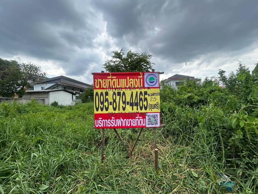 ขายด่วนที่ดินผังม่วง 101 ตรว ติดถนนคอนกรีต ถมแล้ว ซ.นวนทอง 23 กระทุ่มแบน สมุทรสาคร 9