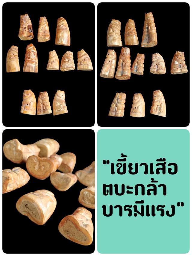 เขี้ยวเสือแท้รับประกันตลอดชีพ 11 เขี้ยวขายเหมา