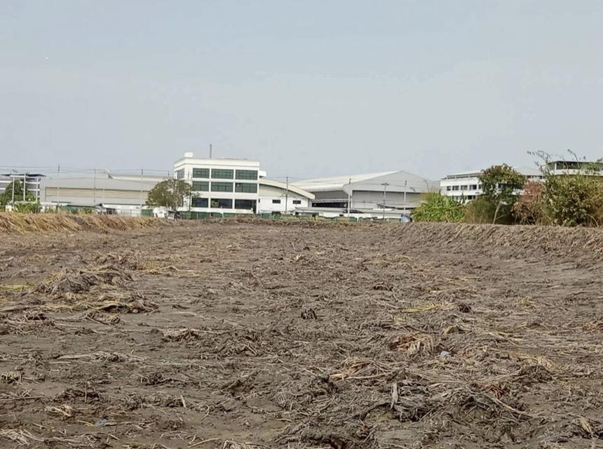 ขายด่วน ที่ดินเปล่า 12-3-21 ไร่ ในซอยวัดบัวโรย ต.บางเสาธง อ.บางเสาธง จ.สมุทรปราการ 7