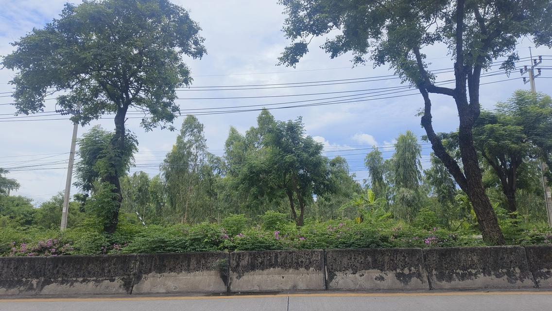 ขายด่วน ที่ดินติดถนนใหญ่ ราคาถูก 20