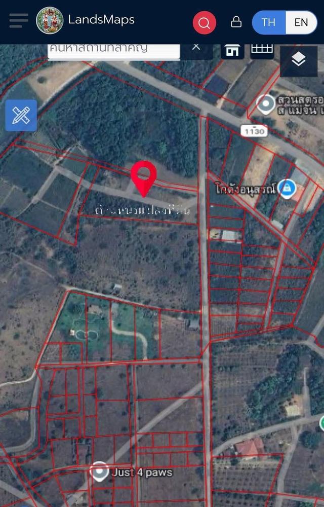 #ขายที่ดินใกล้เทศบาล อ.แม่จัน จ.เชียงราย#ไร่ล่ะ 1.5 ล้าน ที่สูงเนินดอย#ใกล้ดอยแม่สลอง-ไร่ชาฉุยฟง 2
