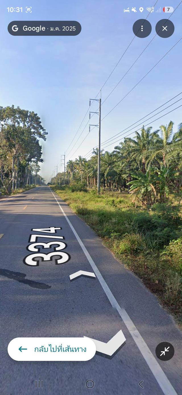ที่ดินสวนปลามพร้อมสิ่งปลูกสร้าง1หลัง 5