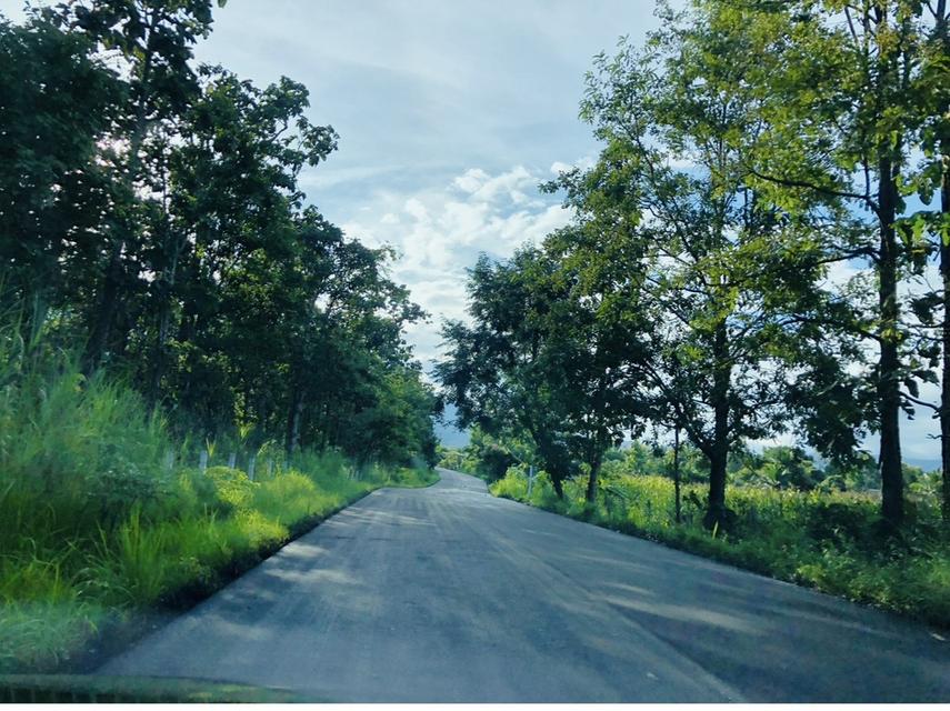 ที่ดิน สวนกระท้อน .................... 10