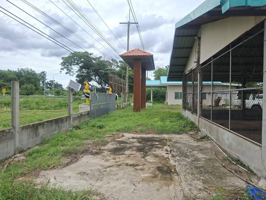 ขายที่ดินแปลงใหญ่ ติดถนน 4เลน สระบุรี-เพชรบูรณ์ 8