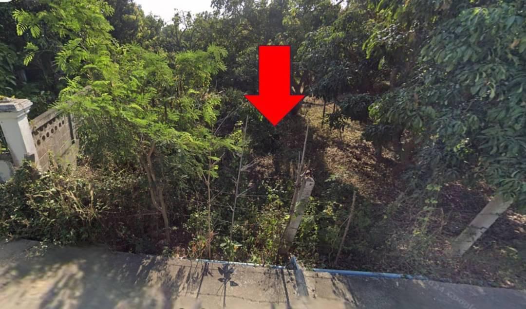 ขายที่ดินโฉนดครุฑแดง (เจ้าของขายเอง) 18