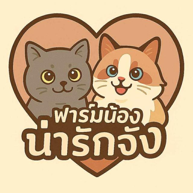 บริติช ช็อตแฮร์ สีบลู