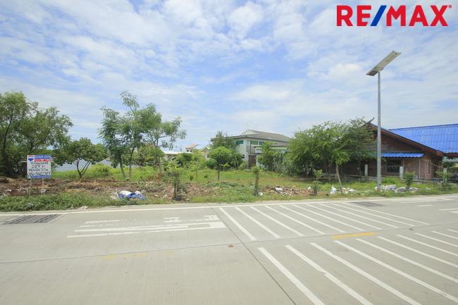 ที่ดินประชาอุทิศ90 จัดสรรตาเบิ้ม ถนนเมน 207ตารางวา สร้างบ้าน ทำธุรกิจได้ ใกล้โรงเรียนสารสาสน์วิเทศ ทางด่วนสุขสวัสดิ์ บางพลี ราคาถูก   7
