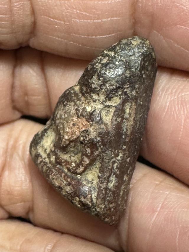 พระนางพญาพิมพ์ อกนูนเล็ก