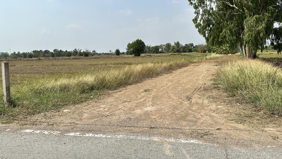 ขายที่นายกแปลง 34 ไร่ 2 งาน 20 ตารางวา ที่สระบุรี 2