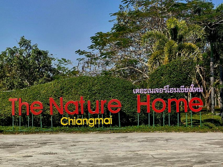 ที่ดินเปล่า อ.หางดง จ.เชียงใหม่ 6