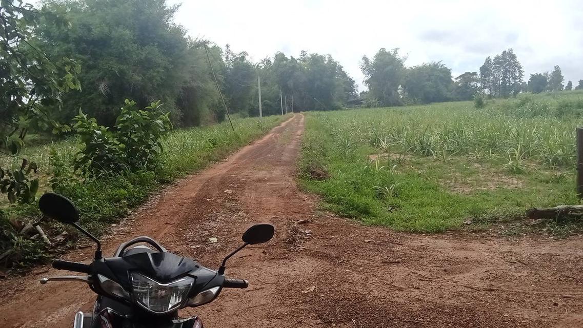 ขายด่วนมาก ที่ดินจังหวัดกาฬสินธุ์