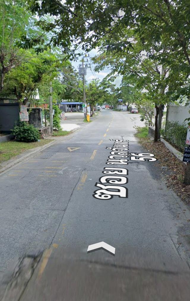 ขายที่ดิน200ตรว.ติดถนนซอยนวลจันทร์56  เข้าออกได้หลายทางใกล้ถนนเลียบทางด่วนเอกมัยรามอินทรา ถนนนวลจันทร์ ถนนรามอินทรา ถนนเกษตร์นวมินทร์ 2