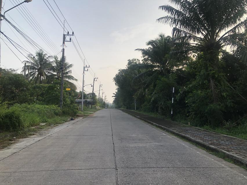 ขายที่ดินเชิงเขา เกาะถ้ำ สวนตูล สวนสัตว์สงขลาเนื้อที่ 212 ตร.ว. ราคา 4 ลบ. 3