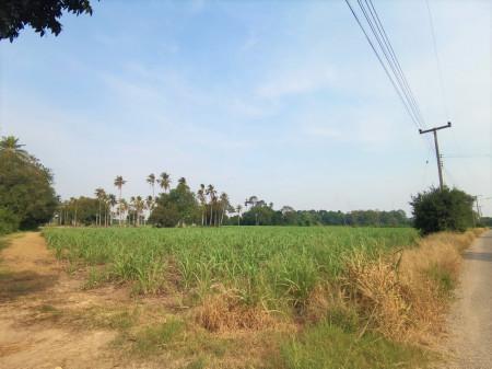 ขาย ที่ดิน แปลงใหญ่ ME152 หนองชัน หนองอิรุณ บ้านบึง ชลบุรี . 100 ไร่ 2 งาน 33 ตรว ติดทางสาธารณะ ห่างถนน 3284 เพียง 2.7 กม. 2