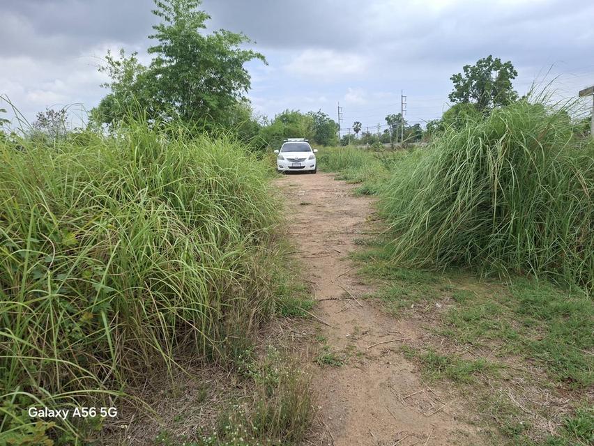 ขายที่ดิน 31 ไร่ 322 ตร.วา ติดถนนใหญ่ หนองขาหย่าง อุทัยธานี ผังเมืองสีชมพู 4