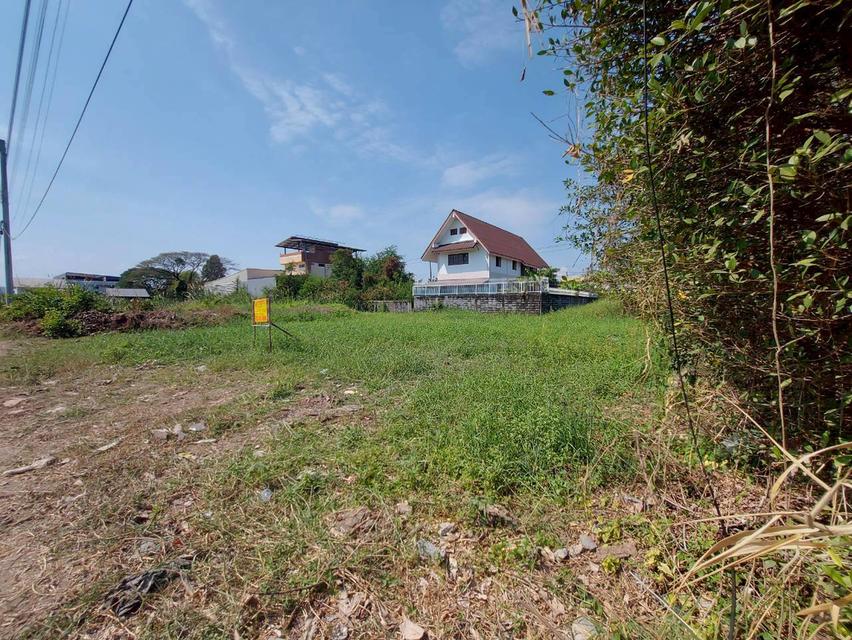 ขายที่ดินเปล่า ถนนเจริญพัฒนา คลองสามวา กรุงเทพมหานคร 4