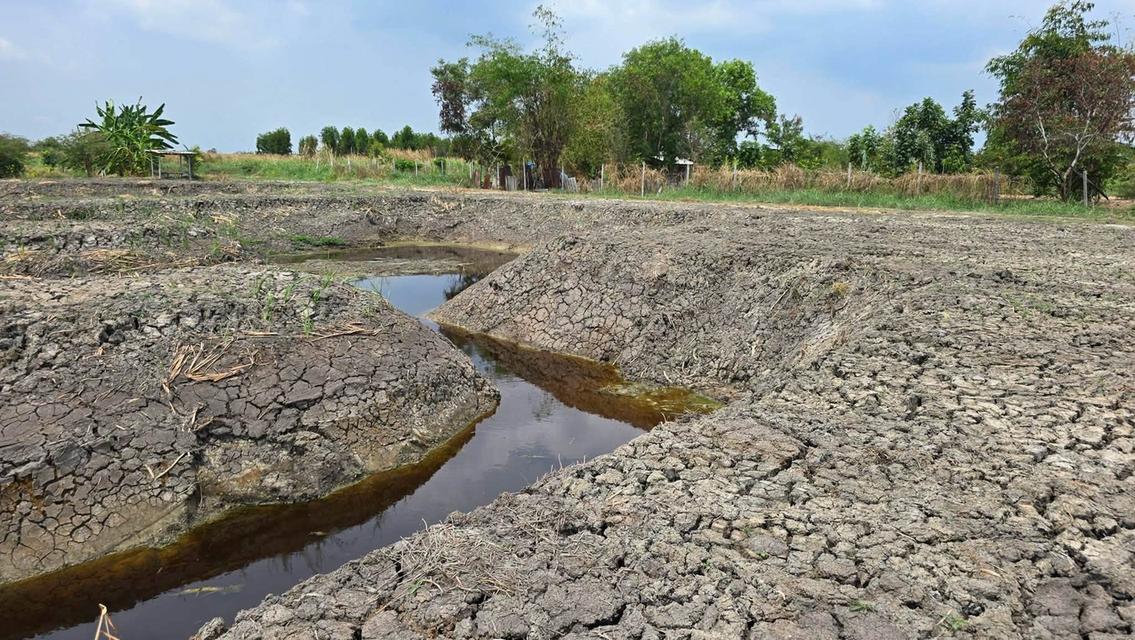 ขายด่วนที่ดินบางเสาธง 400 ตรว เหมาะลงทุน ทางหลวงชนบท3047 บางพลี สมุทรปราการ 6