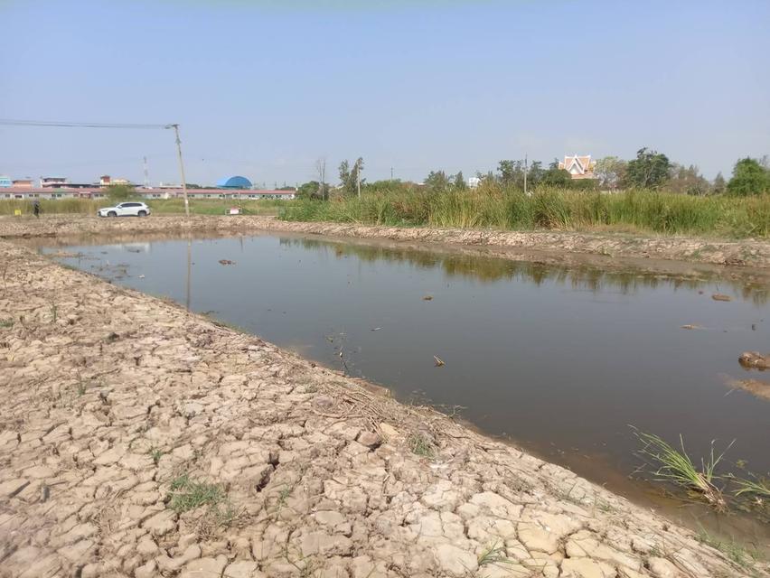 ขายที่ดินเปล่า 2 ไร่ ติดถนนคอนกรีต ซอยเทศบาลบางปู 83 9