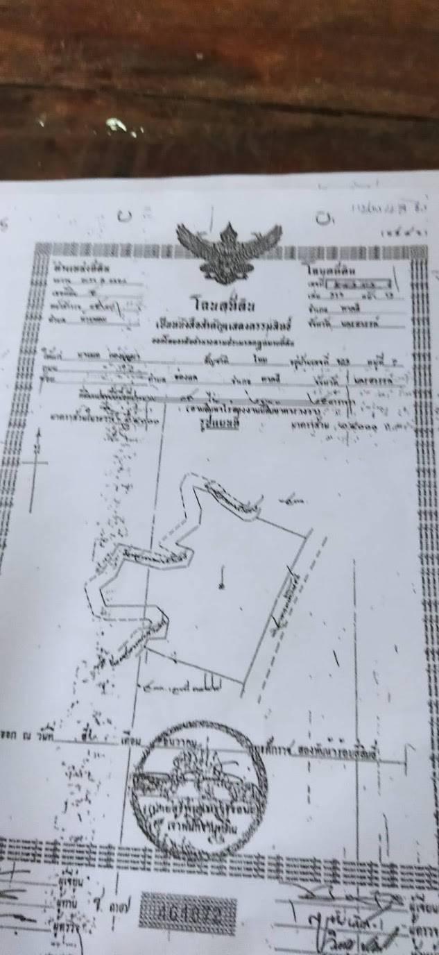 ขายที่นา 62 ไร่ บ้านหมี่ สระบุรี 4