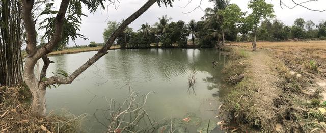 ขายที่ดิน 12 ไร่ ใกล้ชุมชน ตำบล กลอนโด อำเภอ ด่านมะขามเตี้ย จังหวัด กาญจนบุรี ติดถนน และ คลองส่งน้ำ เหมาะสำหรับทำการเกษตร และ ที่อยู่อาศัย 12