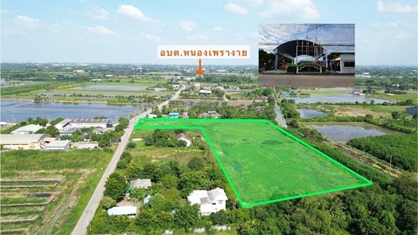 ราคานี้หาไม่ได้อีกแล้ว!! ขายที่ดิน ติดถนน ต.หนองเพรางาย อ.ไทรน้อย จ.นนทบุรี ใกล้มหิดล ศาลายา และแหล่งชุมชน Tel. 099-607-6116 5