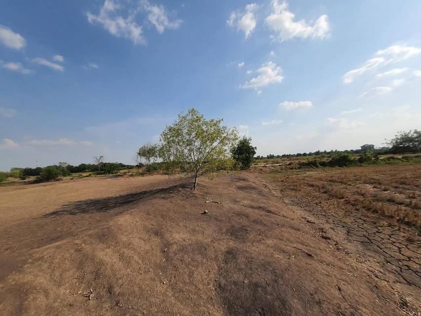 ขายด่วน !! ที่ดินคลองห้า 1 ไร่ ถมแล้วทั้งแปลง ติดถนนคอนกรีต กลั่นกรอง อ.คลองหลวง จ.ปทุมธานี 4