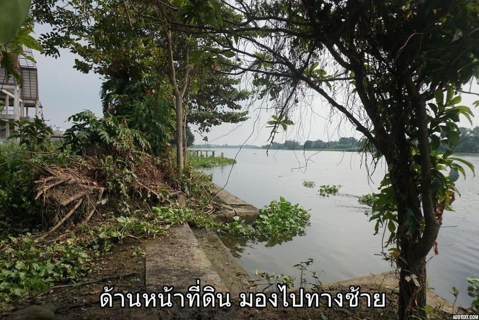 ขายที่ดินติดแม่น้ำท่าจีน อ.สามพราน จ.นครปฐม 8