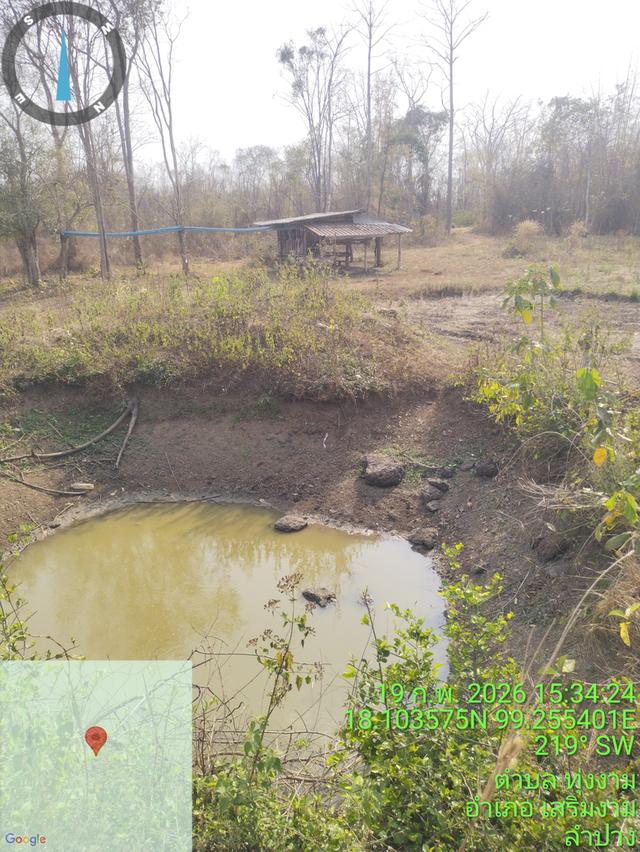 ที่ดินพร้อมสวนปลูกสร้าง 4