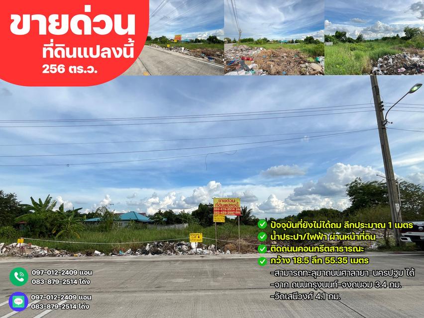 ขายด่วนที่ดิน 256 ตรว.ติดถนนเส้นหลัก เลียบคลองใหม่เจริญ ม.5-8‼️ ต.หนองเพรางาย  อ.ไทรน้อย จ.นนทบุรี ⛳️  1