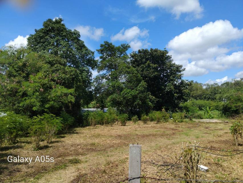 ขายที่ดินทำเลดี กลางเมืองเชียงราย 8