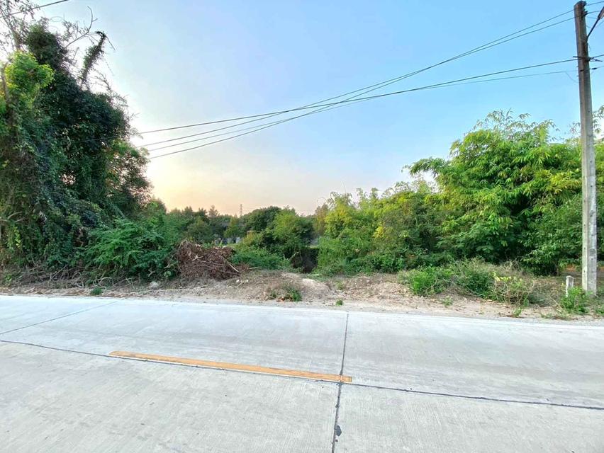 ขายที่ดินตะพง 1 ไร่ ติดถนนคอนกรีต ใกล้ถนนเส้นสุขุมวิท3-5กม. อ.เมืองระยอง จ.ระยอง 1