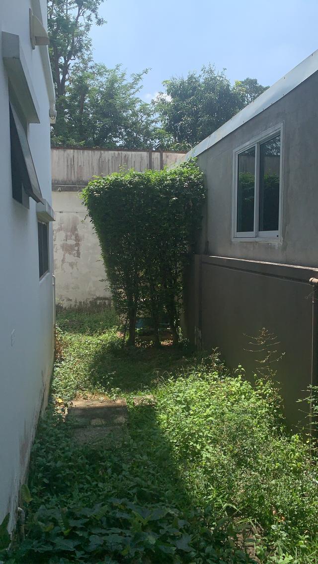 ขาย/ให้เช่า บ้านเดี่ยว2 ชั่น หมู่บ้านหรูมัณฑนา 3นอน 3น้ำ 2 แอร์ 2 อุ่น 2 จอด 2